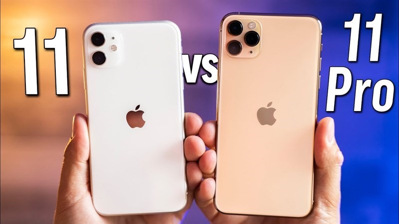 So sánh iPhone 11 và 11 Pro: Sự khác nhau giữa thiết kế và tính năng